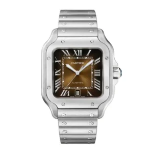 Cartier Santos Large WSSA0064 Brown Sunray Dial Steel fir sale